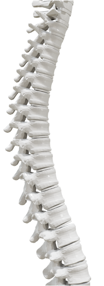 Spine X-ray